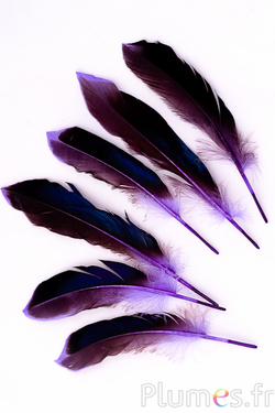 Canard - 8-10 cm - violet